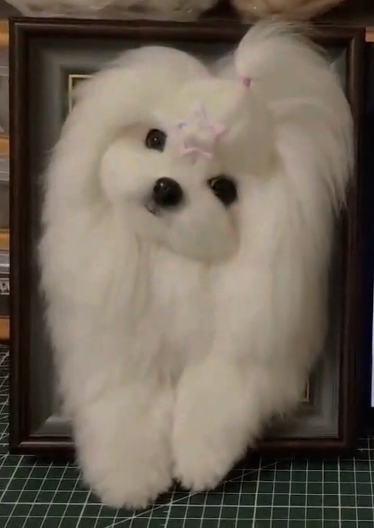 Framed Pet Bust Portrait